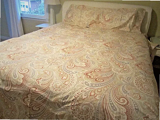 Brandream Super Soft Egyptian Cotton Paisley Boho Queen Duvet + 2 Shams Khaki
